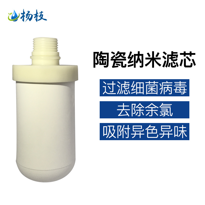 杨枝净水器陶瓷纳米滤芯厨房水龙头滤水器家用直饮自来水过滤器一机二滤透明白