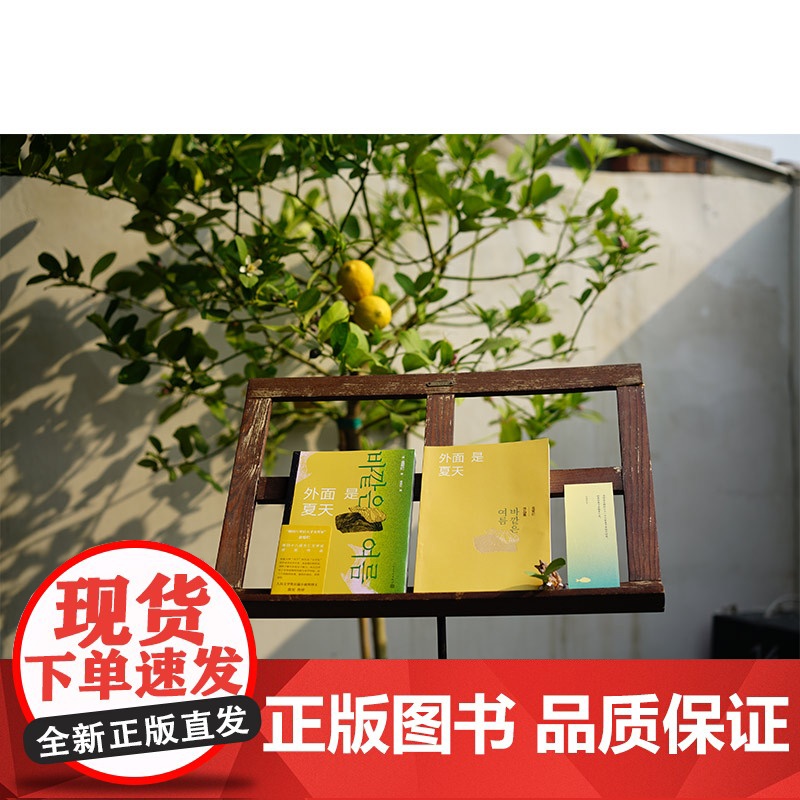外面是夏天 金爱烂作品集你的夏天还好吗作者 韩国八零后天才女作家 笛安作序 豆瓣8.7高分 被收入669个书单 徐丽红翻高清大图