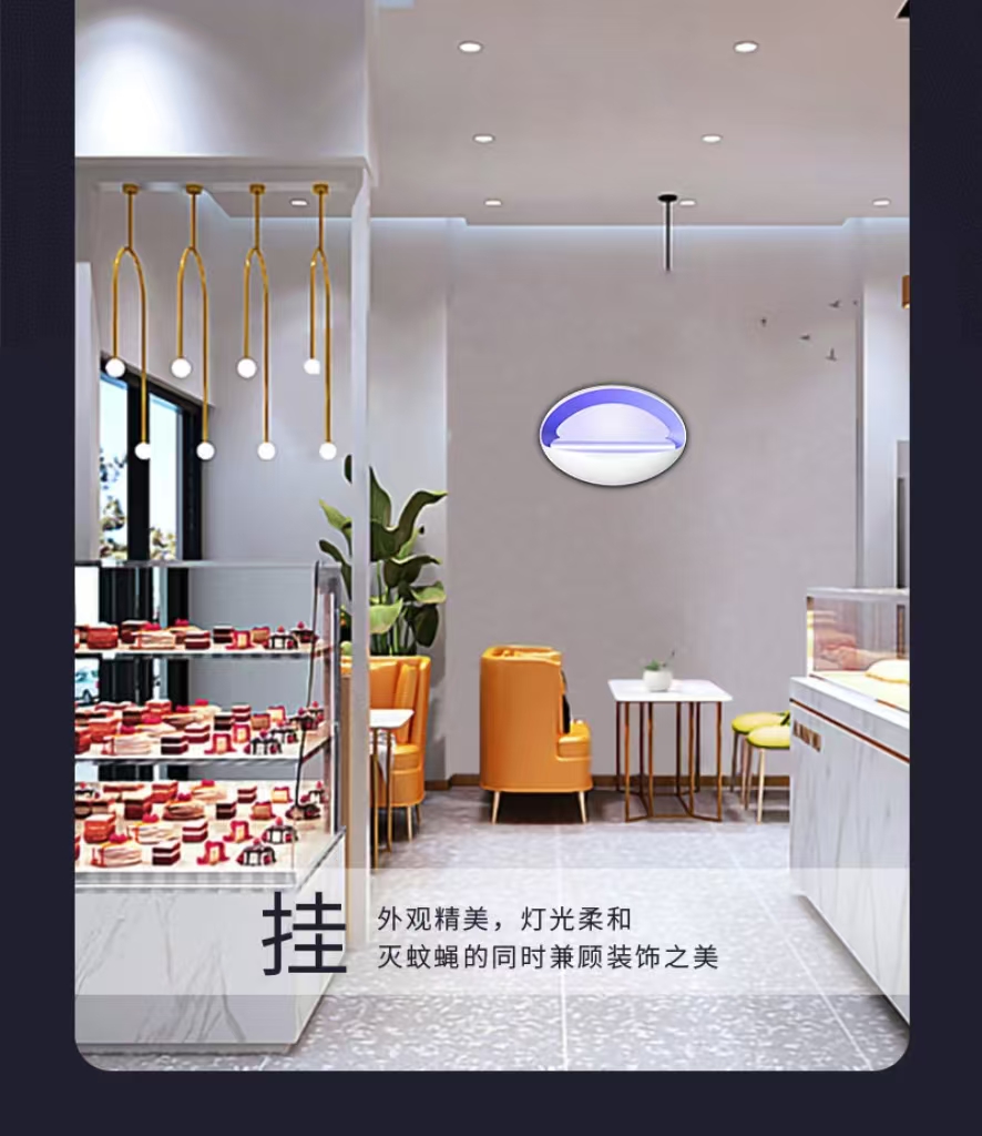 粘捕式灭蝇灯10W高清大图