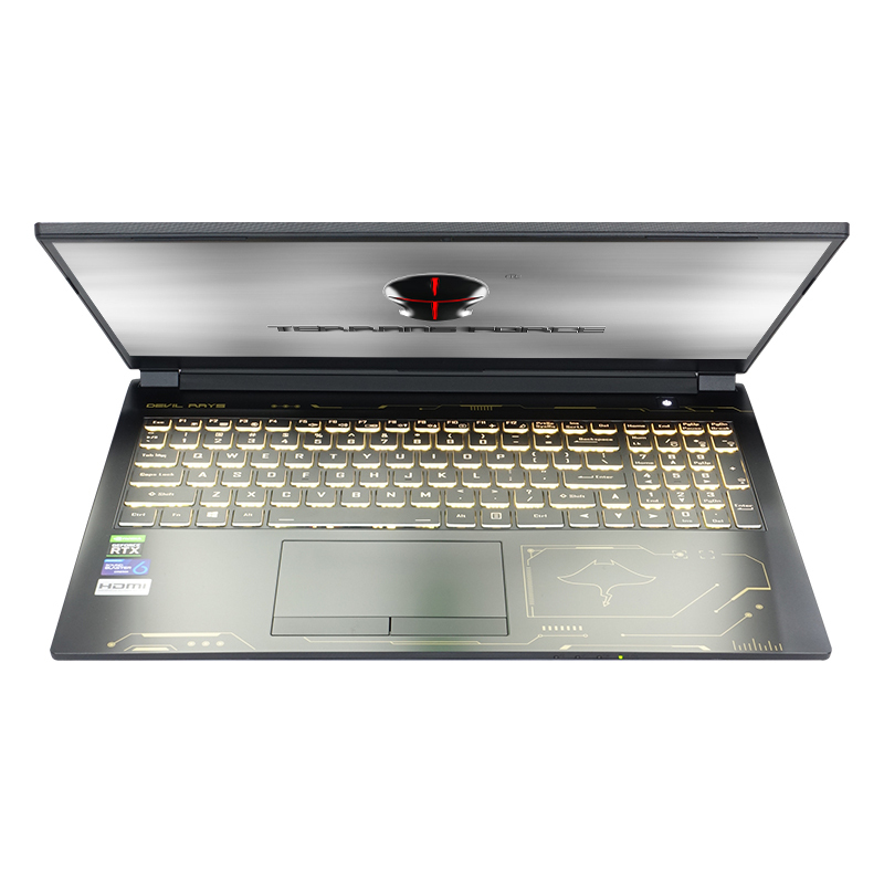 未来人类魔鬼鱼dr52026x7sh1156英寸游戏本i7十代处理器72色域2060