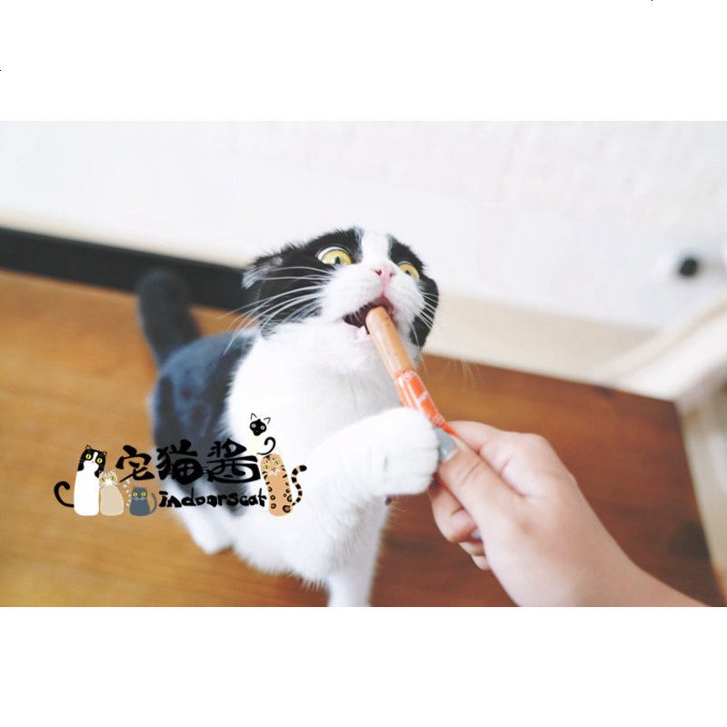 宅猫酱 猫粮伴侣猫咪火腿肠 三个口味可挑选 猫零食