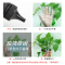 京纪人适用惠普HP 94A碳粉CF294A LaserJet Pro M118dw M148dw打印机硒鼓碳粉 M148