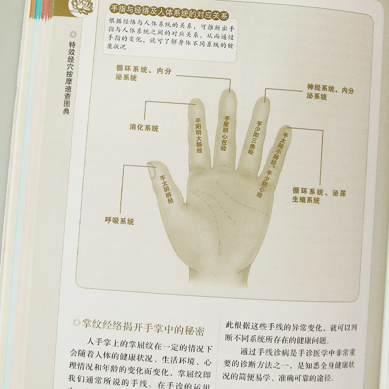 [醉染正版]经穴按摩速查图典 人体经络穴位图 按摩穴位书籍图解手法大穴常见病经络穴位按摩书 中医养生书籍大全正版 中医经高清大图