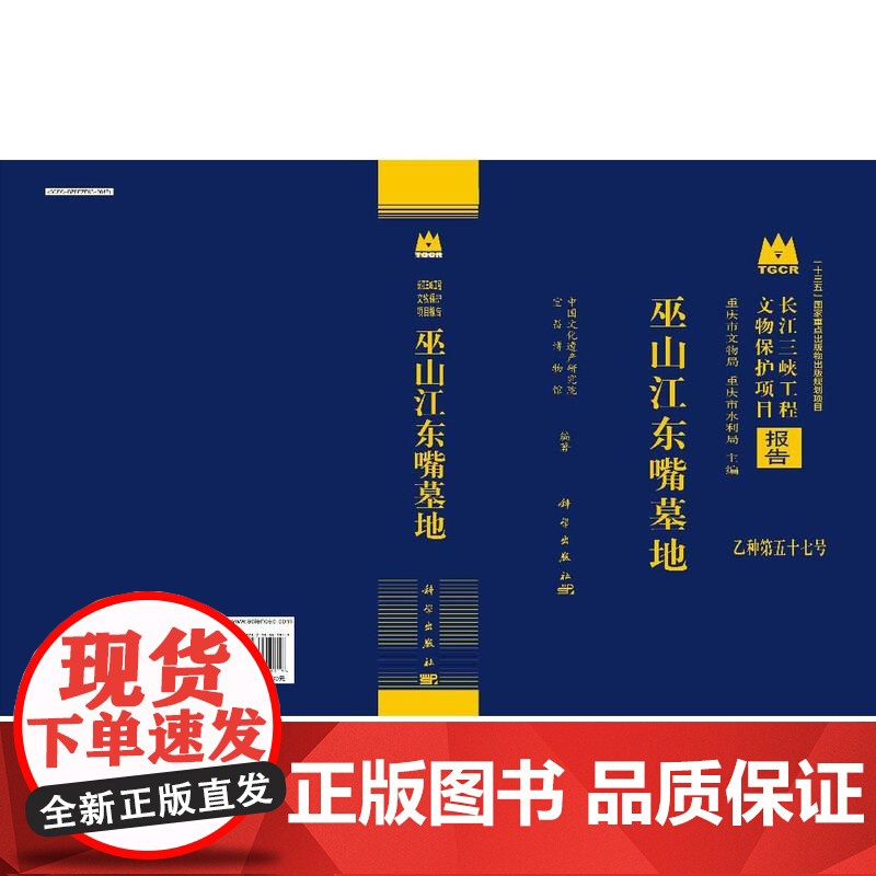 巫山江东嘴墓地高清大图