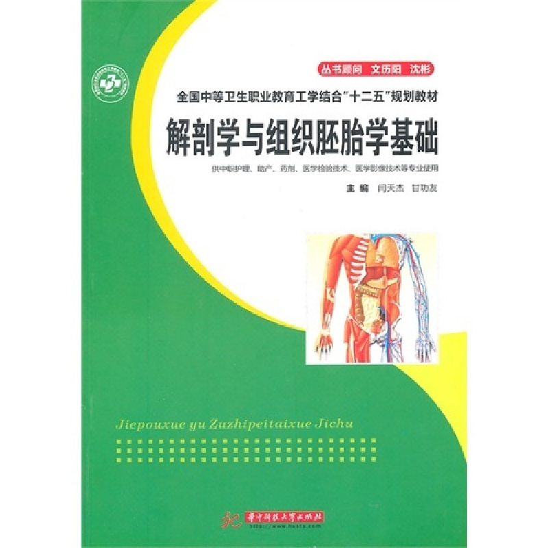 正版新书】解剖学与组织胚胎学基础闫天杰 甘功友9787560967141
