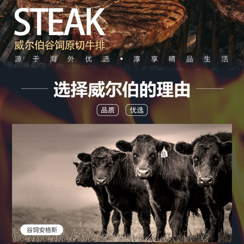 威尔伯 谷饲原切牛肉组合2350g高清大图