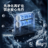 海尔(Haier)8年真长效1200G甜美鲜矿水净水器 政府补贴 家用厨下矿物质鲜活水RO膜净水机反渗透净水设备