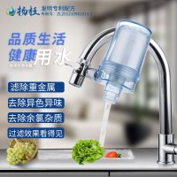 杨枝净水器/透明蓝/陶瓷滤芯厨房水龙头滤水器家用直饮自来水过滤器一机二滤