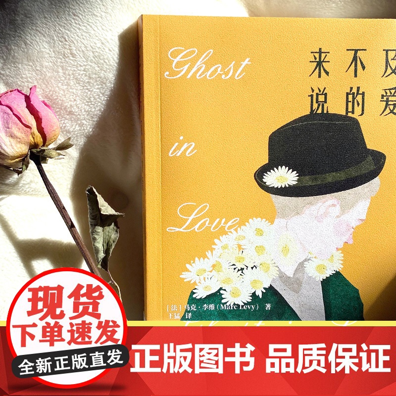 来不及说的爱(继《偷影子的人》,马克?李维又一暖心治愈大作) 马克·李维 博集天卷 湖南文艺出版社 正版书籍高清大图