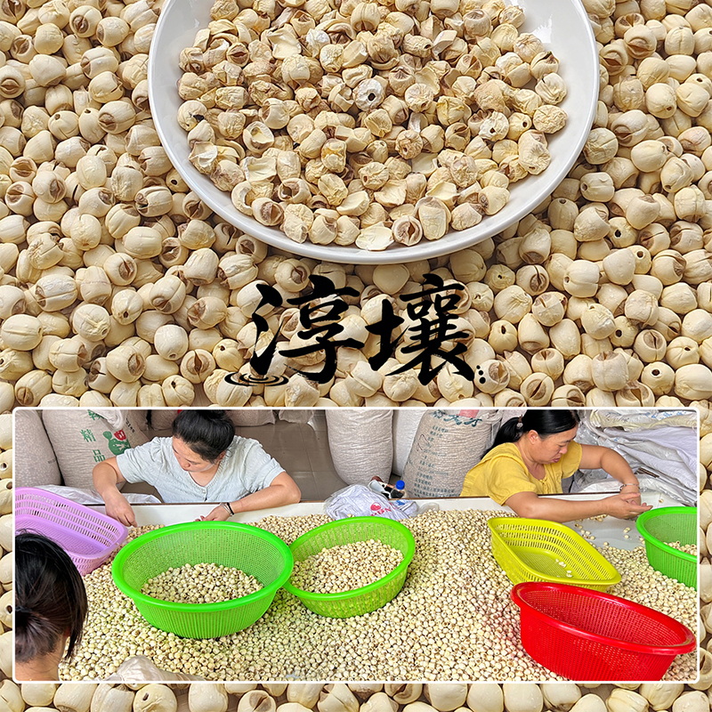大颗粒去芯手工莲子干货 去芯250g*1袋高清大图