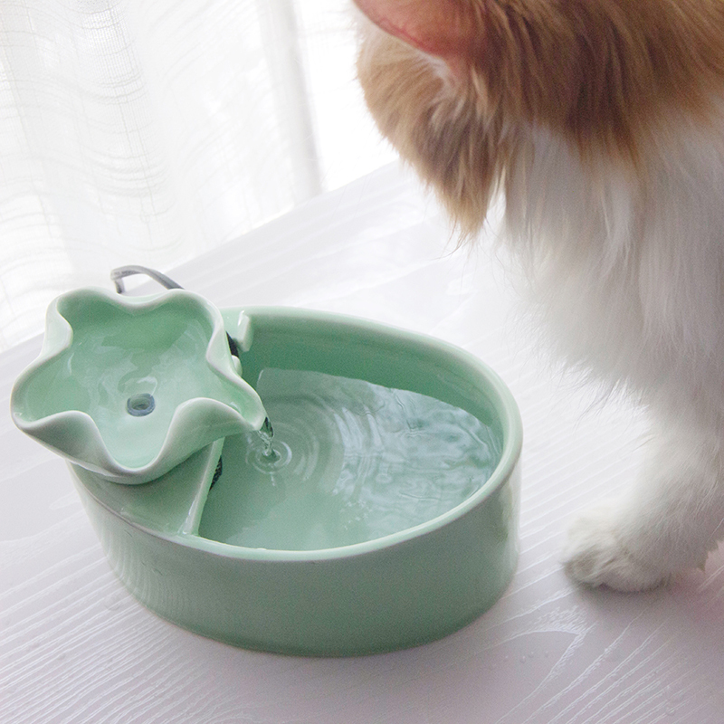 宠物陶瓷饮水机猫咪自动循环智能猫用喝水用品流动活水喂水器荷叶款 清新绿usb升级款 报价 参数 图片 视频 怎么样 问答 苏宁易购