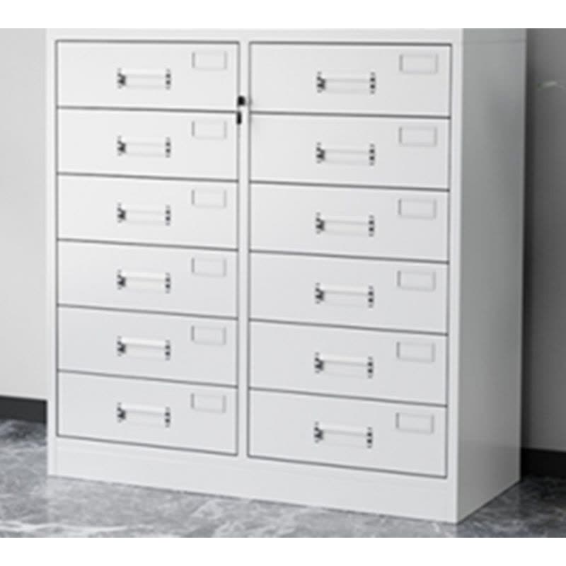 隆博宇 十二斗文件柜/1020*850*390mm/一个起订/20天发货图片