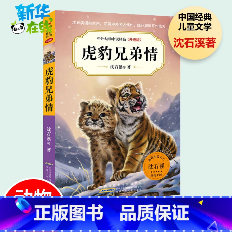 虎豹兄弟情 [正版]虎豹兄弟情沈石溪动物小说系列全集复仇的雪狼羊王称霸草原鼠王强盗公鸡海中鲸王恐龙家族鳄鱼王后小学生三年