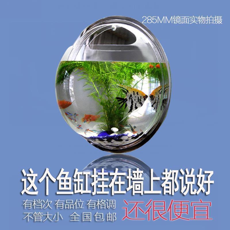 小号15CM透明+彩石仿真水草 中等 免钉壁挂花瓶水培创意挂壁鱼缸花瓶饰品墙上花盆吊兰绿萝垂吊吊篮