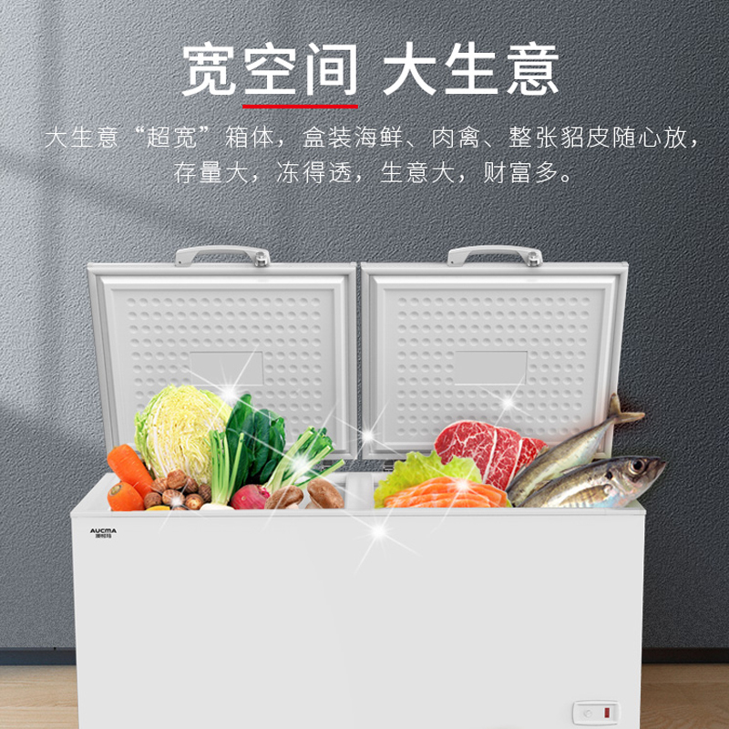 澳柯玛(AUCMA)商用卧式茶叶大容量冰柜 冷藏冷冻转换顶盖门 批发雪糕冷柜低温-26℃ BC/BD-828SNA
