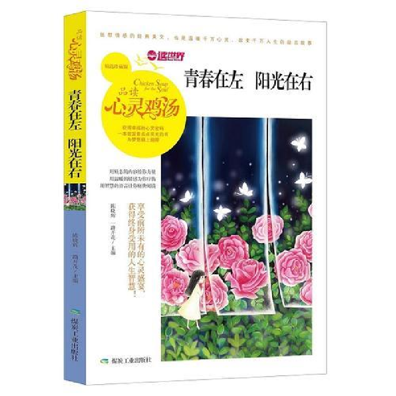 正版新书】心灵鸡汤-青春在左,阳光在右陈晓辉9787502058586