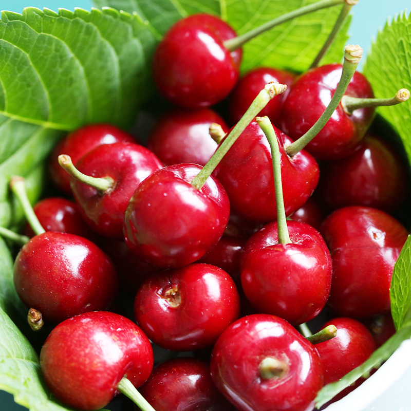 山东拉宾斯樱桃2斤装22mm-26mm新鲜水果大樱桃