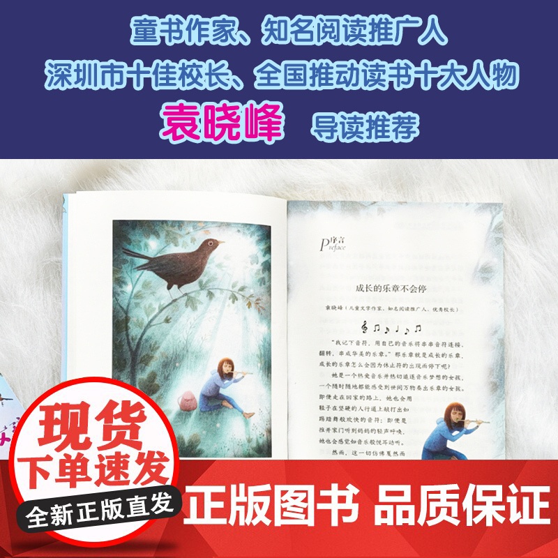 长笛女孩 小译林国际大奖童书 卡内基奖得主治愈系代表作英国现代儿童小说长篇小说成长励志自信故事亲情友情 译林出版社正本高清大图