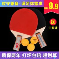 乒乓球拍成品成人中小学生儿童比赛训练初学者乒乓球拍双拍2支装 普通双拍(送3球)