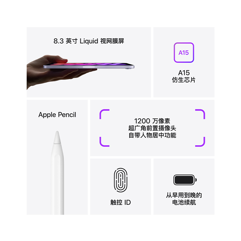 [原封]Apple iPad mini6代 256GB 国行正品 2021款 灰色 WLAN版 8.3英寸 A15仿生芯片 国行 平板电脑