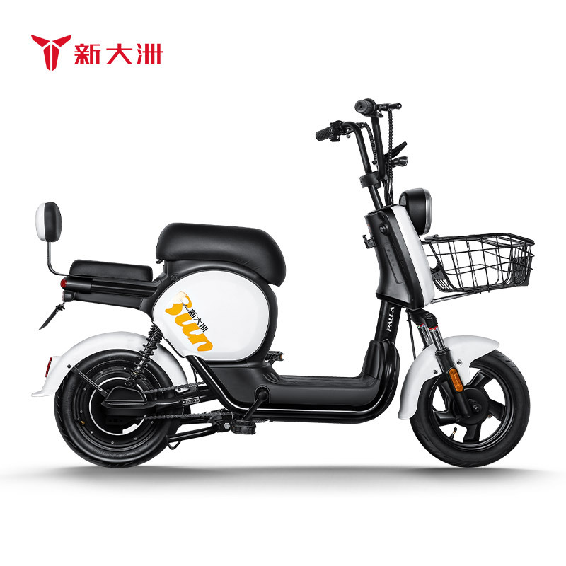新大洲PALLA电动车 新国标48V24AH锂电池续航<80km电瓶车代步车电动自行车 K9(大客户专拍)