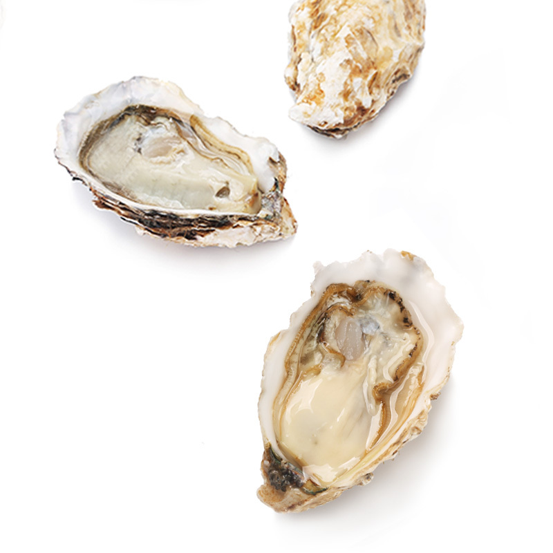 [鲜活]WECOOK 味库鲜活乳山生蚝 海蛎烧烤食材 净4.5斤装200-150g/只(约11-15只)