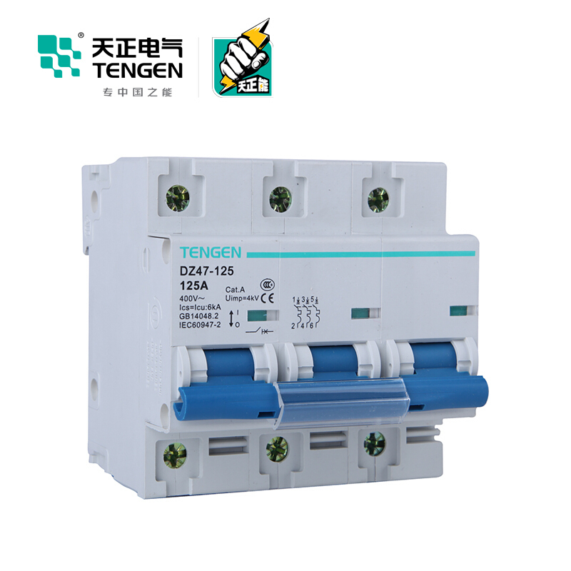 天正电气 空气开关 dz47-125 3p c125a 6ka 01060020183 微型断路器
