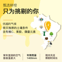汇源果汁国风礼盒200ml*12桃汁橙汁葡萄汁苹果汁随机口味官方旗舰店