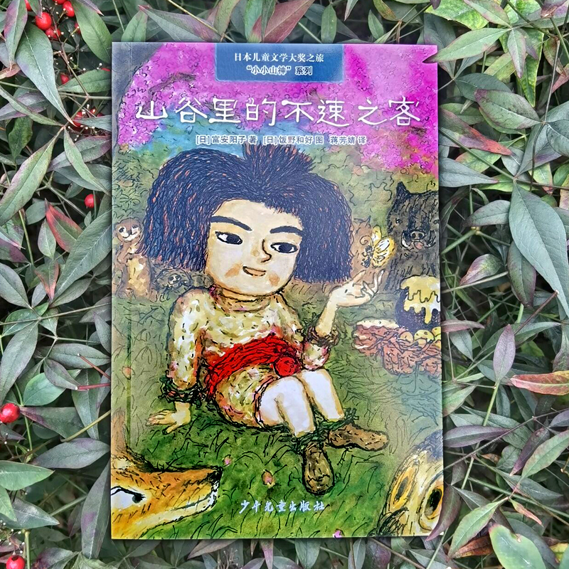 醉染图书山谷里的不速之客9787558910432高清大图