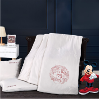 迪士尼(DISNEY) 吸湿发热恒温寝具套装 DSN20-BX-H003
