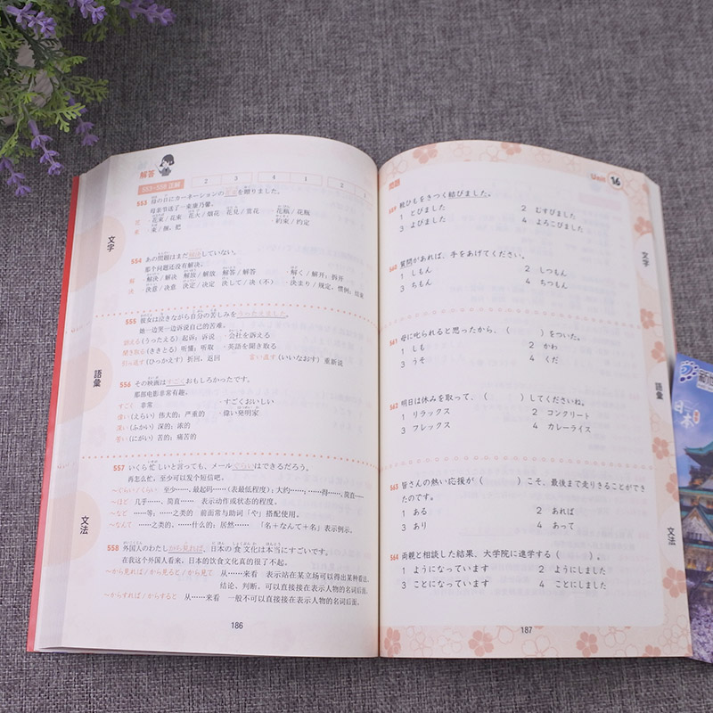 [正版]日语N3日语红蓝宝书1000题n3 日语练习题 新日本语能力考试N3文字 词汇 文法 练习+详解 许小明 新标高清大图