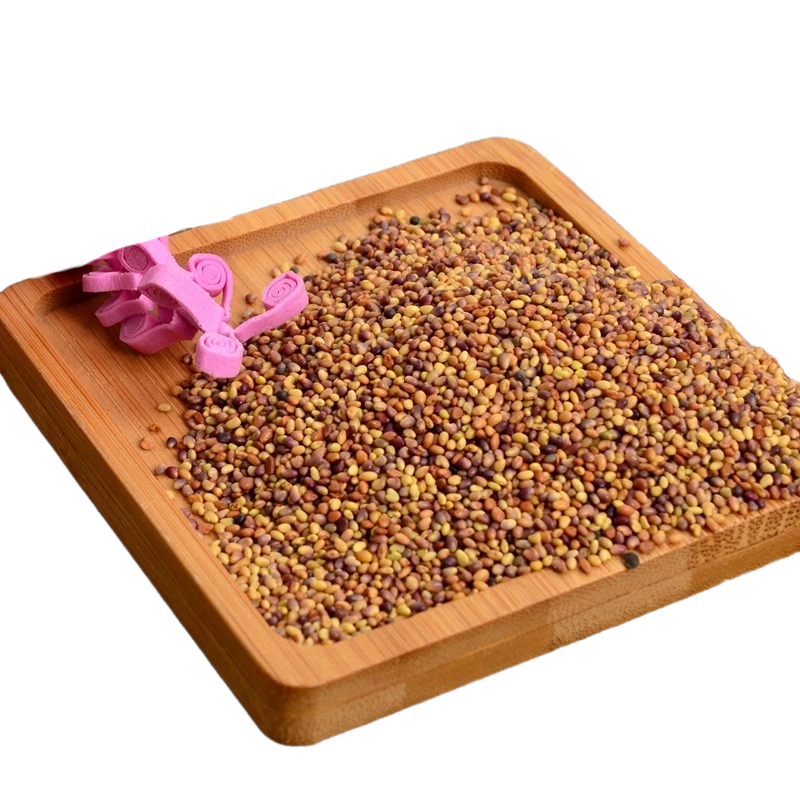 诚智旺 三叶草种子 1kg/袋