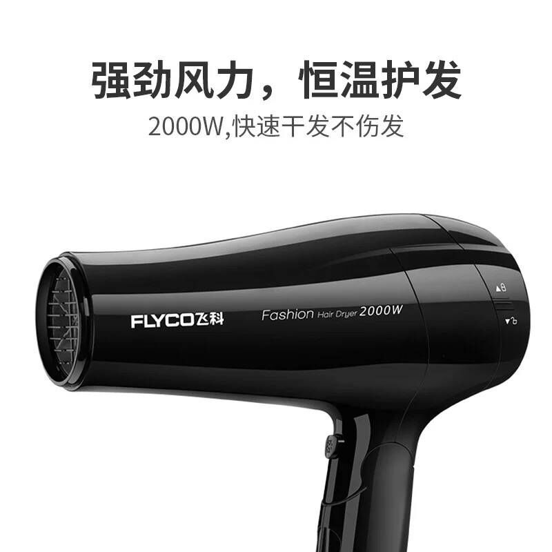 飞科(FLYCO) FH6231电吹风