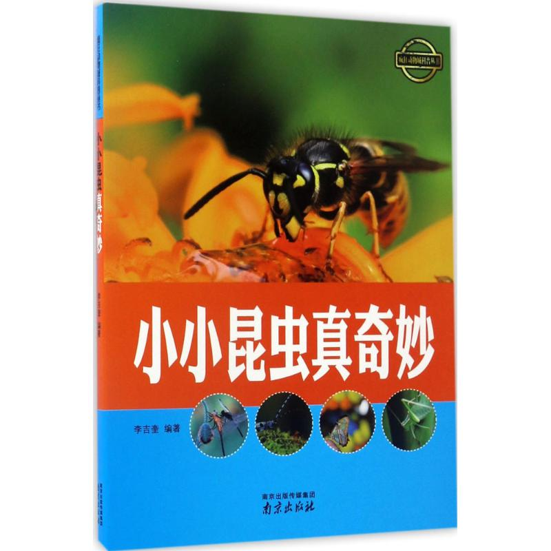 醉染图书小小昆虫真奇妙9787553315454