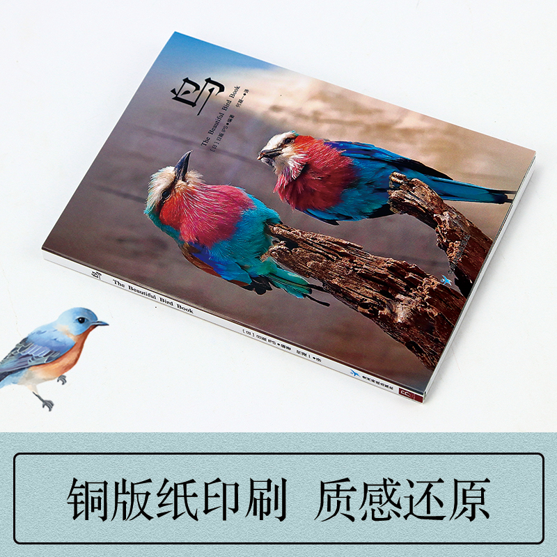 [正版]鸟 汇集世界上美丽的52种鸟 珍贵照片鉴赏动物图鉴书 观鸟指南用书 珍惜森林草原野鸟形态鸟类图鉴动物百科观鸟高清大图