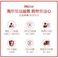 Haier/海尔 L1PB20-HT3(T) 家用燃气壁挂炉20KW天然气采暖炉供暖热水两用锅炉CO防护供洗浴采暖二合一
