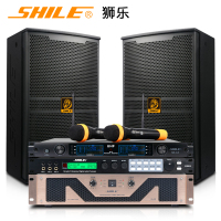 狮乐(SHILE)专业舞台音响套装组合户外演出大型会议室婚庆活动效果器套餐S62功放+BM10音箱+效果器+一拖二话筒