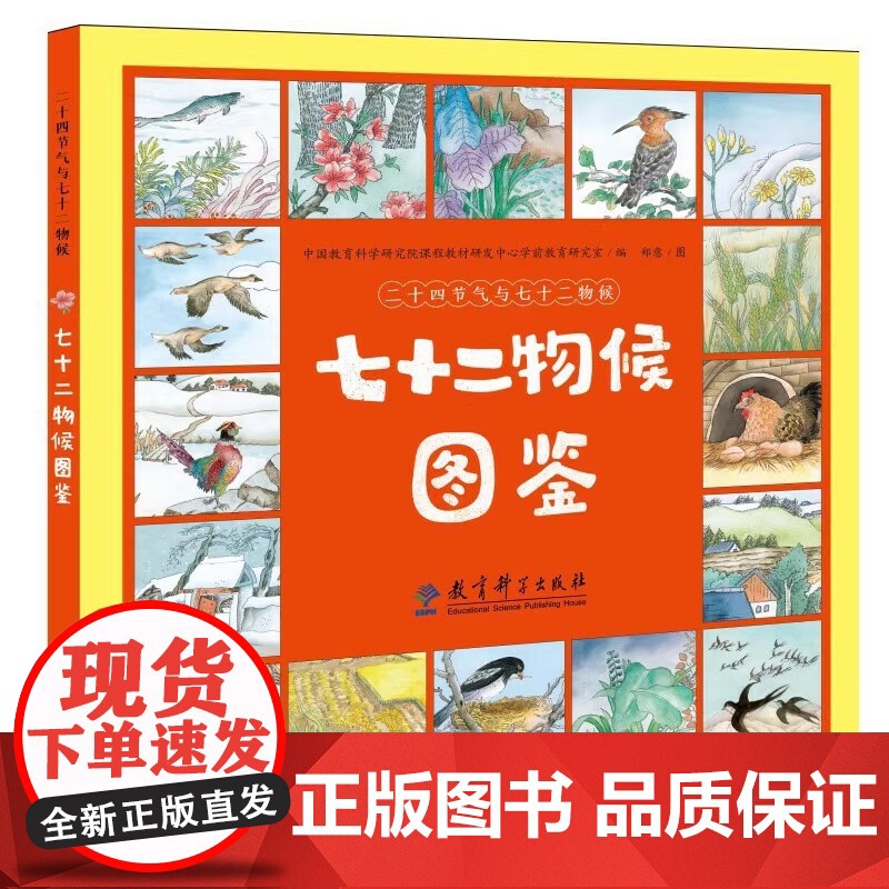 二十四节气与七十二物候(2册精装图画书 《幼儿学古诗》《成语故事》同系列传统文化启蒙,国风科普绘本 包含《二十四节气儿歌高清大图