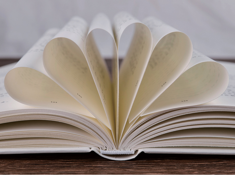 [正版]庄子 庄周精装硬壳 文白对照 庄子的智慧心灵修养 中国国学简史 人生哲学国学经典藏书全注全译足本无删减高清大图