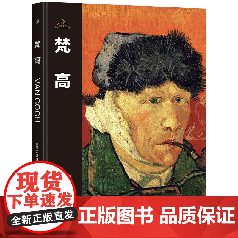 伟大画家:梵高 天才与疯子 纸上画廊+人物传记 精装珍藏艺术集 看懂名画 了解画家的一生广东人民出版社高清大图