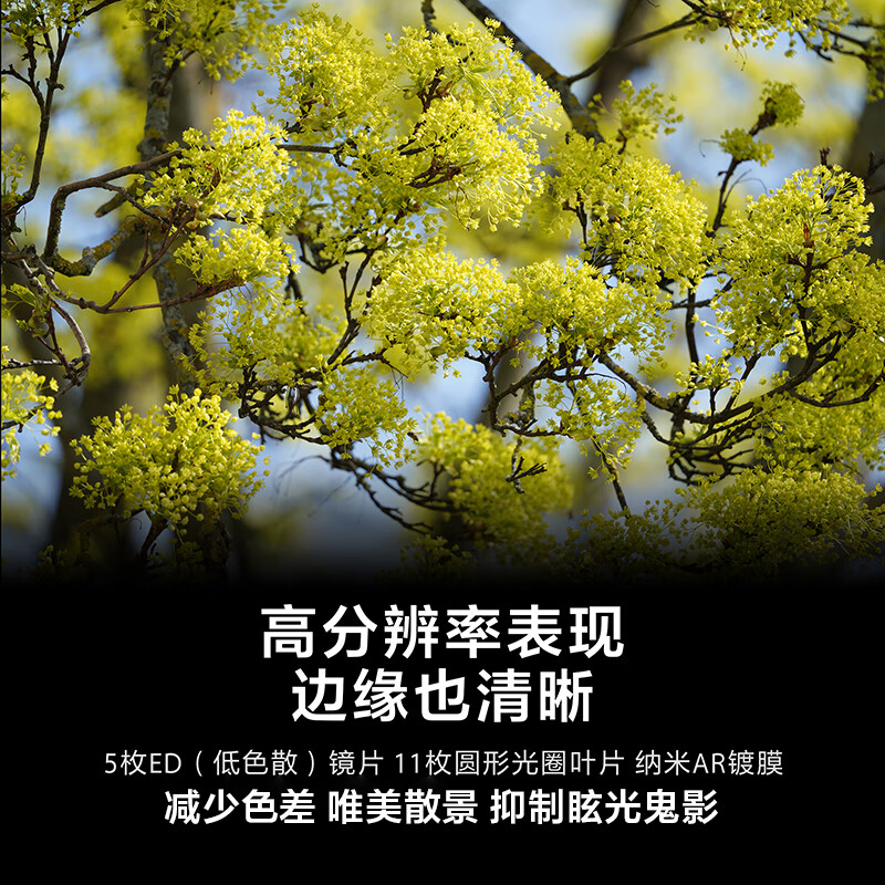 索尼 (SONY)FE 200-600mm F5.6-6.3 G OSS 全画幅超远摄变焦G镜头 SEL200600G高清大图