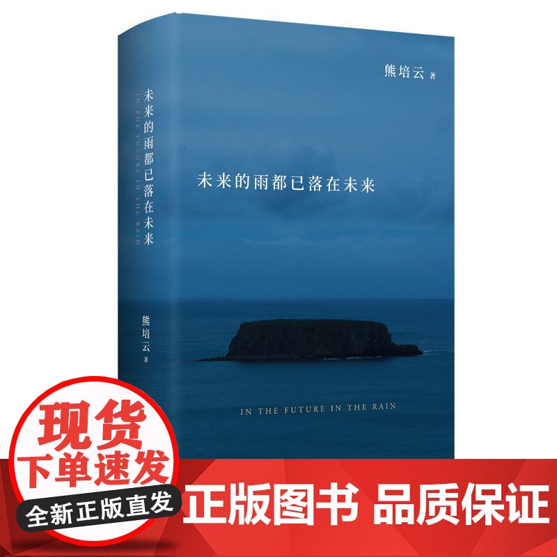 未来的雨都已落在未来 熊培云文津奖得主熊培云沉思众我之我新作探讨生命的诗意与星辰湖南文艺文学散文随笔书籍高清大图