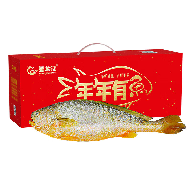 星龙港 鲜活捕捞大黄鱼礼盒(1500g单条装) 单位:条