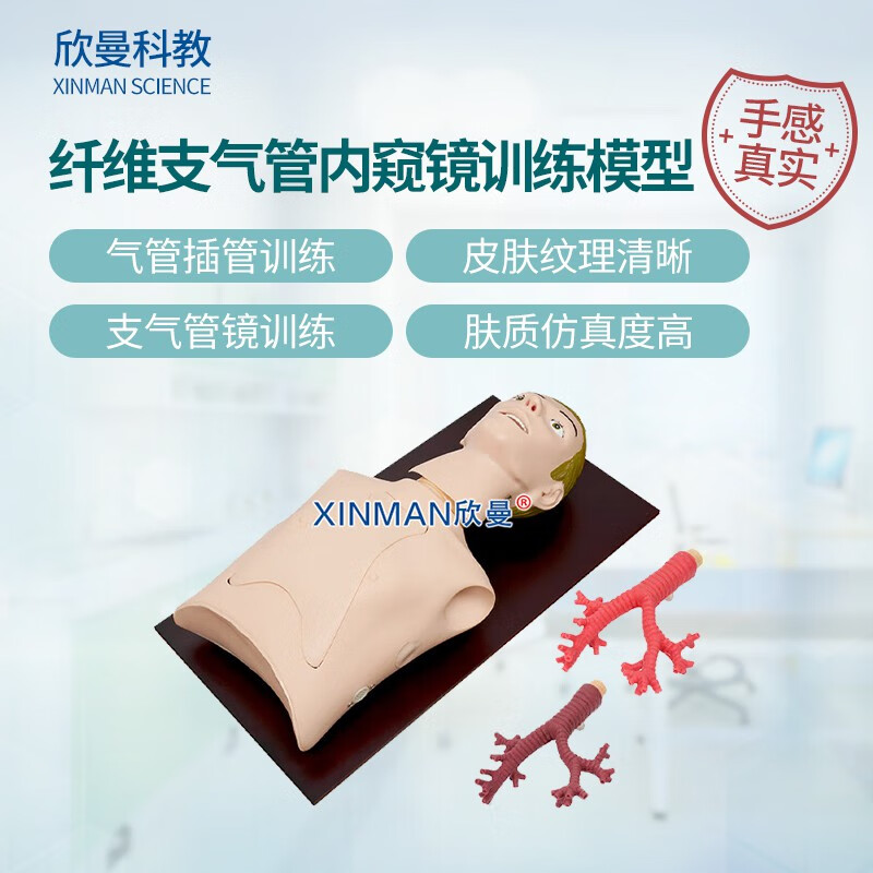 欣曼科教 纤维支气管内窥镜操作训练模型 支气管镜练习模拟人XM-LV48