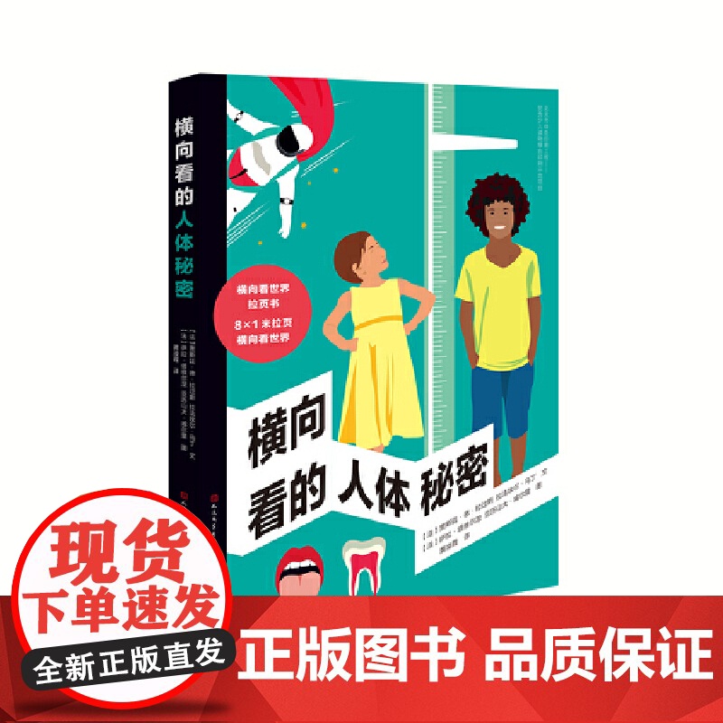 横向看的人体秘密高清大图