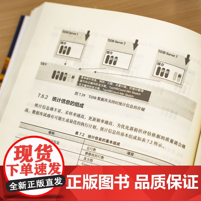 正版 分布式数据库TiDB:原理、优化与架构设计 董菲 TiDB数据库原厂教程 分布式数据库 数据库系统 机械工业出高清大图