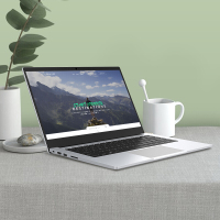 【爆品】机械革命（MECHREVO）S2 14.0英寸定制版本(十代i7-10510U 16G 1TB+512GB MX350 2G独显 摄像头) 银 网课本办公本轻薄本笔记本电脑