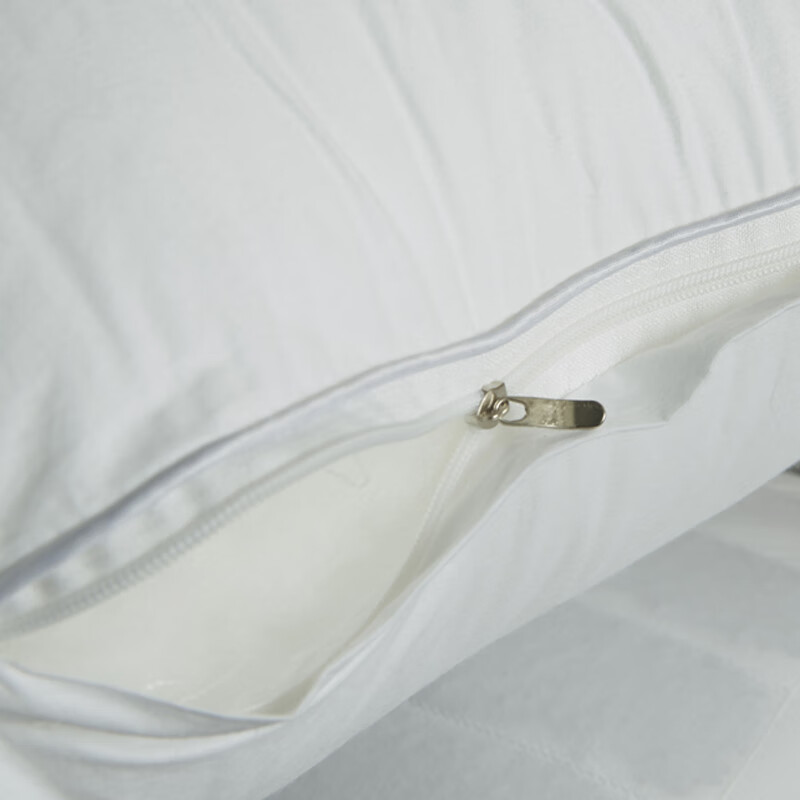 芳恩家纺FAUNEN 全棉荞麦羽丝枕48×74cm FN-R7012高清大图