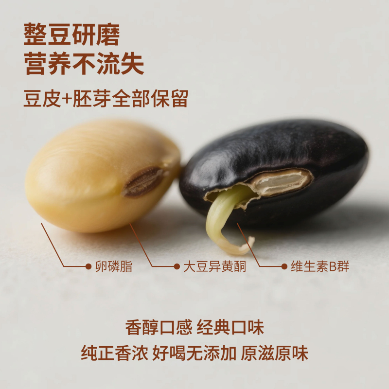 探寻初味纯黑豆 0添加有皮有渣豆浆粉400g高蛋白原味早餐纯豆浆粉黑豆豆浆粉400g*1盒