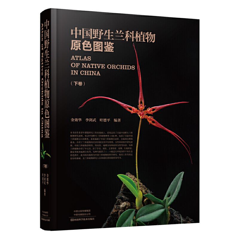 [醉染正版]精装 中国野生兰科植物原色图鉴 上下卷 金效华花图鉴基础知识 种类分类园艺栽培 兰科植物花叶特征识别大全 自高清大图